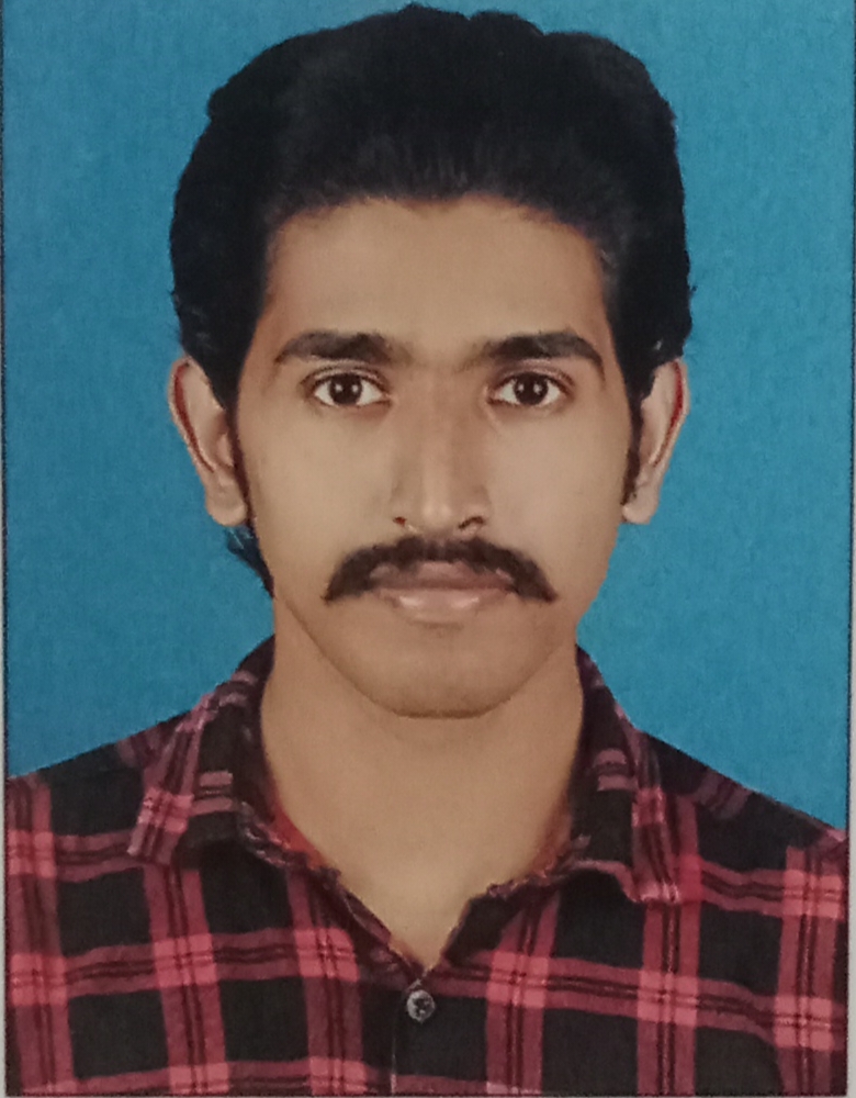 Viswanand A S
