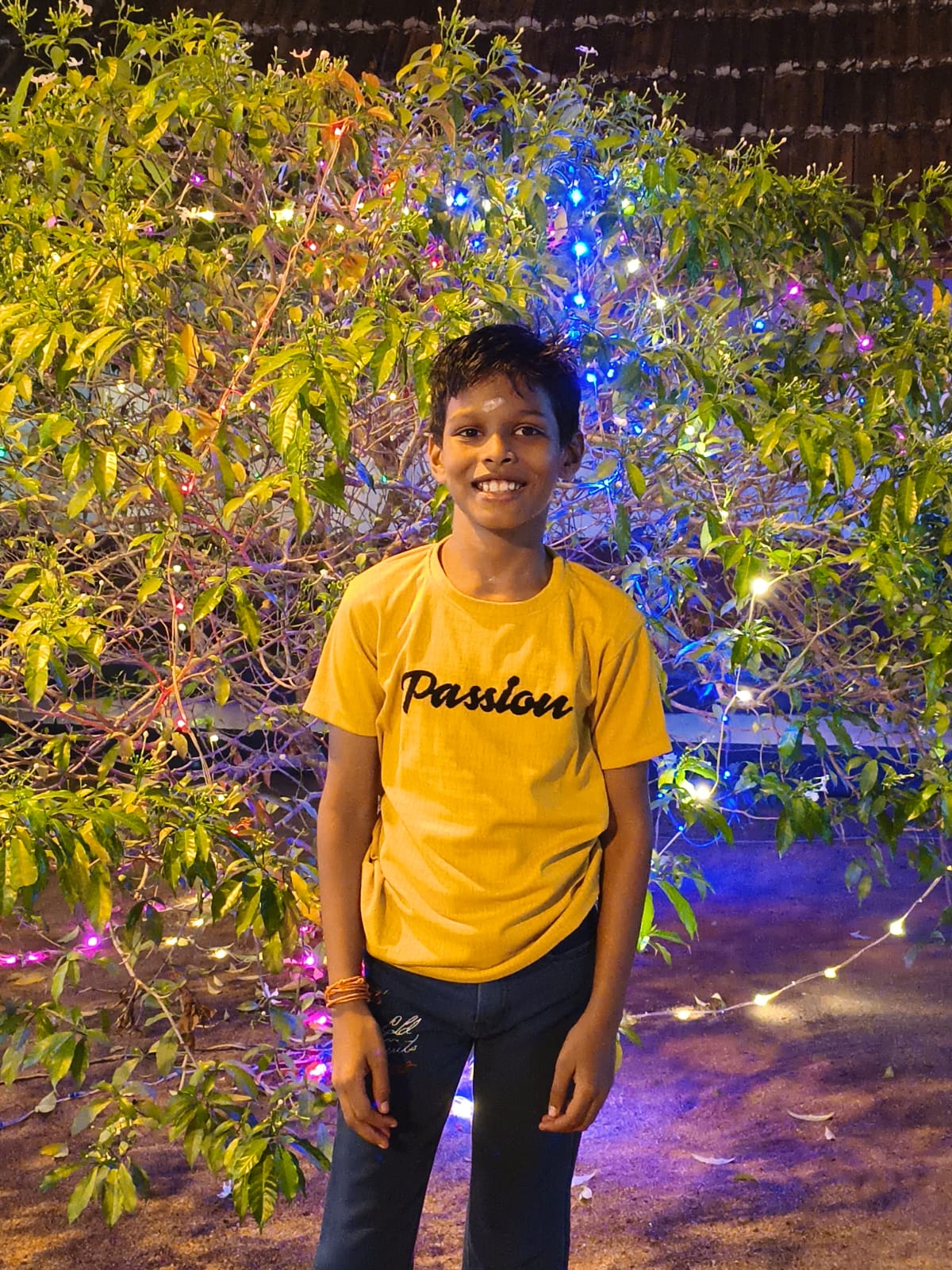 S KRISHNARITHIK